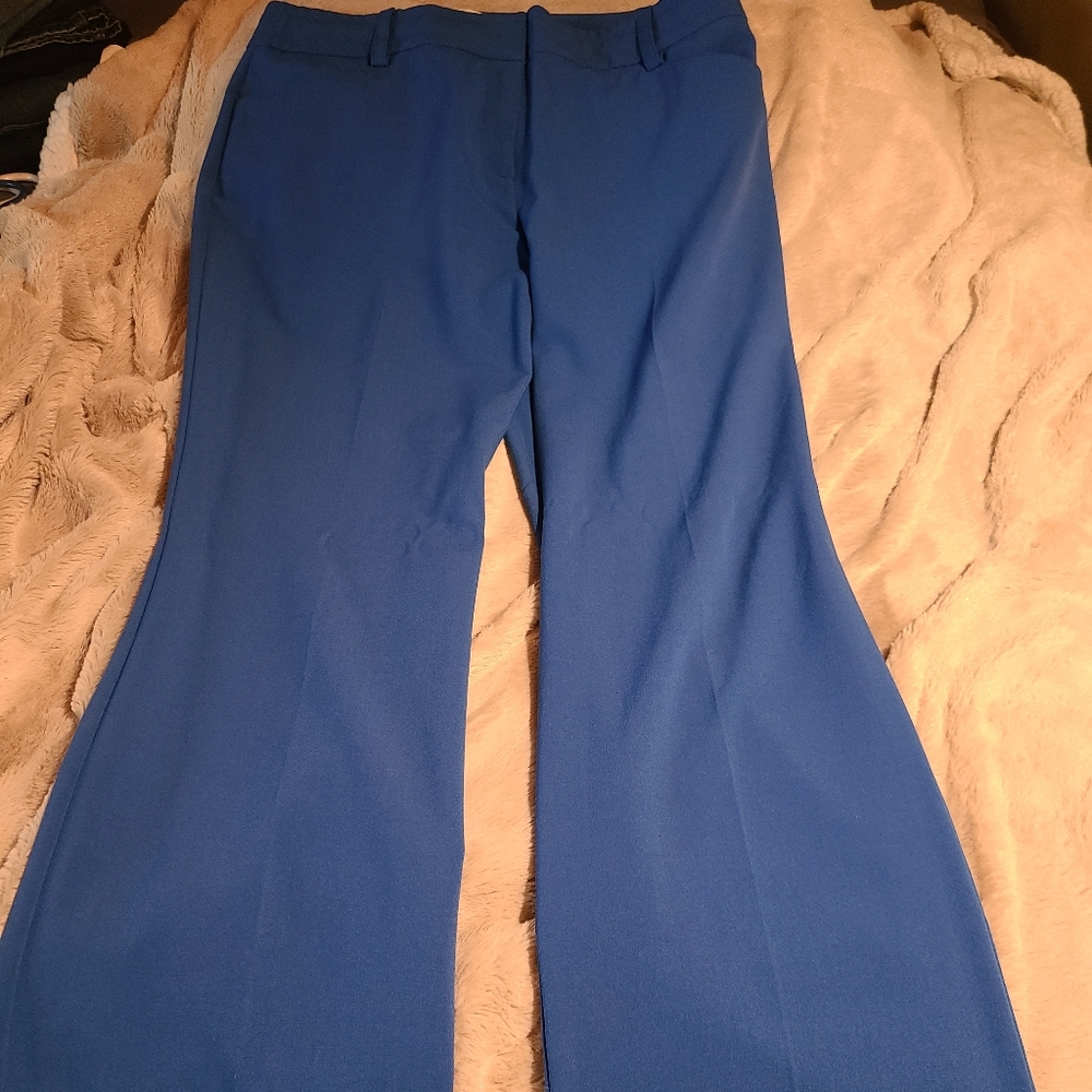 Dress Pants